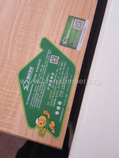 中国生态板十大品牌精材艺匠衣柜板材 