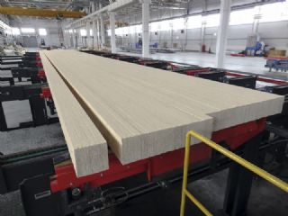 【厂家销售】FSC证书的杨木LVL床板条 床板条