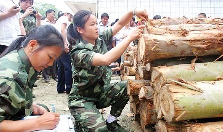 常熟港首創(chuàng)進(jìn)口木材檢尺新法