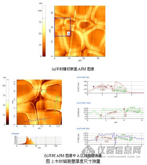 木材濕熱改性的細胞壁響應機理研究取得新進展