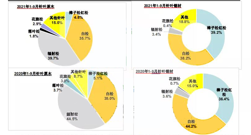 中国针叶木材市场前景看好?021年进口针叶原木增?7.8%