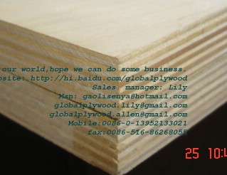 birch plywood