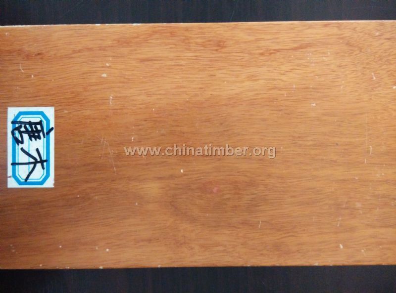 大量供應(yīng)唐木/番龍眼原木原材進口木材現(xiàn)貨