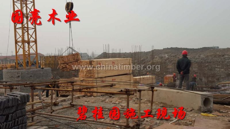 加拿大鐵杉建筑木方報價跳板方料