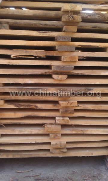 優(yōu)質(zhì)香樟木板材