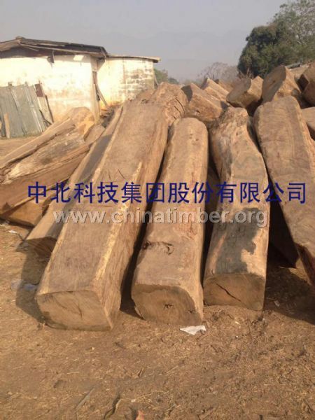 尼日利亞亞花梨