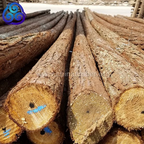 貨場直供大小直徑多種長度杉桿杉木桿綠化桿沙桿支持訂