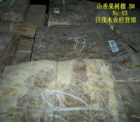 山香果树榴