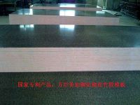 国家专利产品：方臣美加钢化镜面竹胶模?