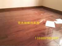 荷木地板（马蹄壳） 柏木地板 柏木桶料 厂家直销