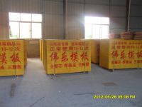 上海建筑模板价格网