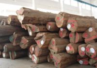 柚木（Teak）进口报关报检代理