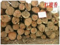 香脂木豆/红檀香进口报关公司