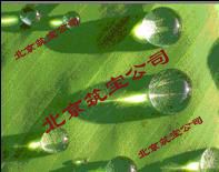 侵入型混凝土保護劑