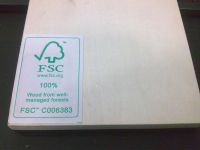 FSC杨木胶合板