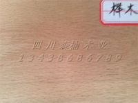 榉木