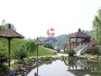 山樟木