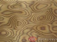 橡木树根科技木皮		