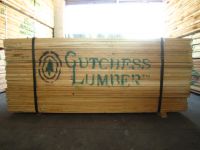 硬枫GUTCDESS LUMBER