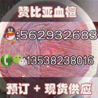 非洲赞比亚紫檀血檀小叶紫檀