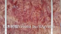 红花樟树榴
