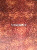 花樟树榴牛皮纸木皮