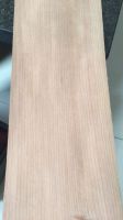 樱桃直纹