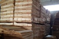 木皮、杨木皮，杨木单板