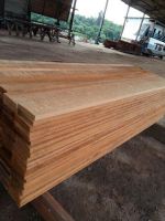 栾叶苏木/JATOBA