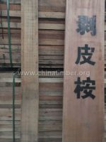 剥皮桉 金丝檀木 烘干板材   原木板材
