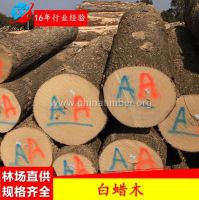 进口白蜡木