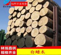 广东白蜡木厂家热销美国白蜡木水曲柳原木