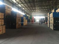 进口美国红橡