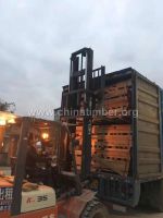 热销欧洲进口榉木AB毛边板材 家装建材好料 多功能