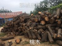 大批量供应优质桃木原木 多用于雕刻工艺品