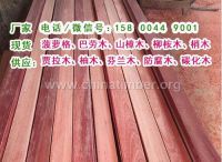 柳桉木木栈道