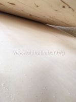 25厘杨木多层板 5厘9厘12厘胶合板价格