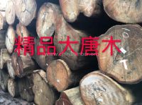番龙眼（唐木）