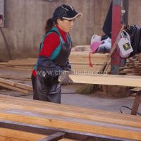 木材批发市场 加工建筑木方厂家