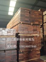 会流红水的印尼菠萝格