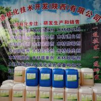 木美啦-木制结构古建筑做旧和重新复原建造