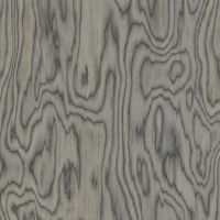 意大利进口ALPI木皮（阿尔卑)