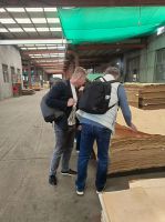 木皮干燥機械 石家莊多田高頻真空木材干燥罐