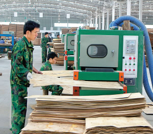 谈木材加工中生产线的自动化