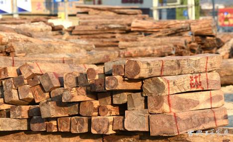 到红酸枝的价格变动_木业资讯-中国木材网