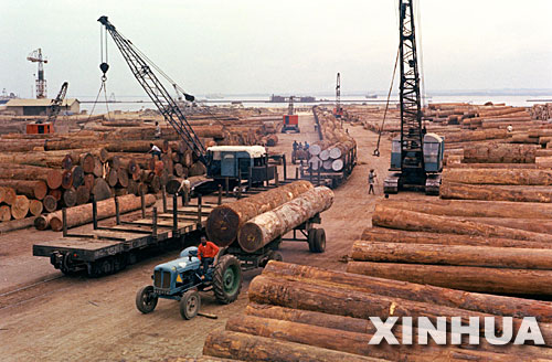 把握市场脉搏 合理经营非洲材_木业资讯-木材网